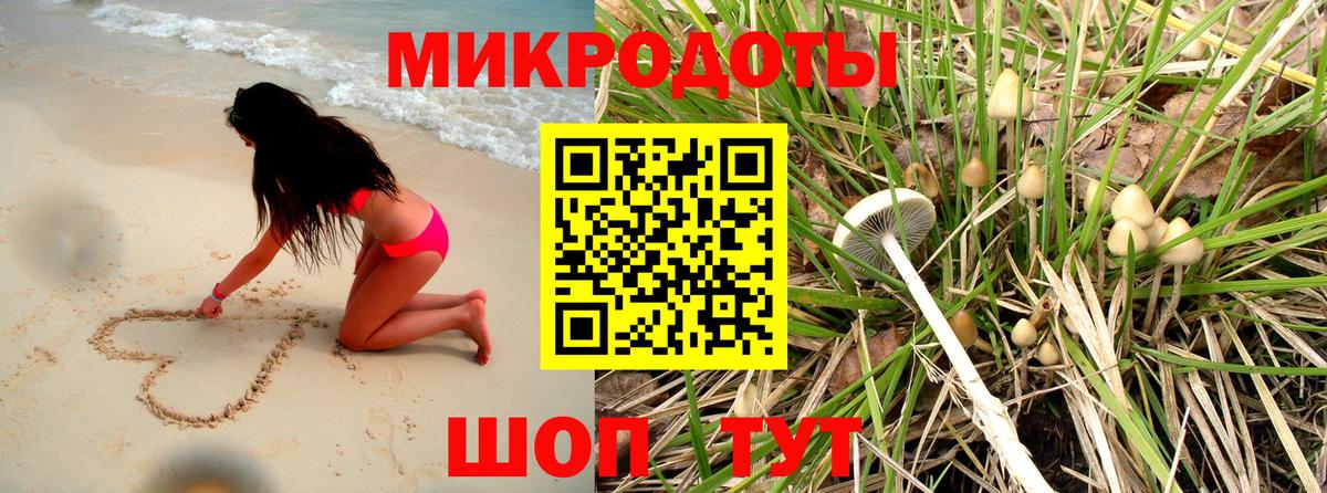 Галлюциногенные грибы Cubensis  даркнет сайт  Саров  Вход с VPN 
